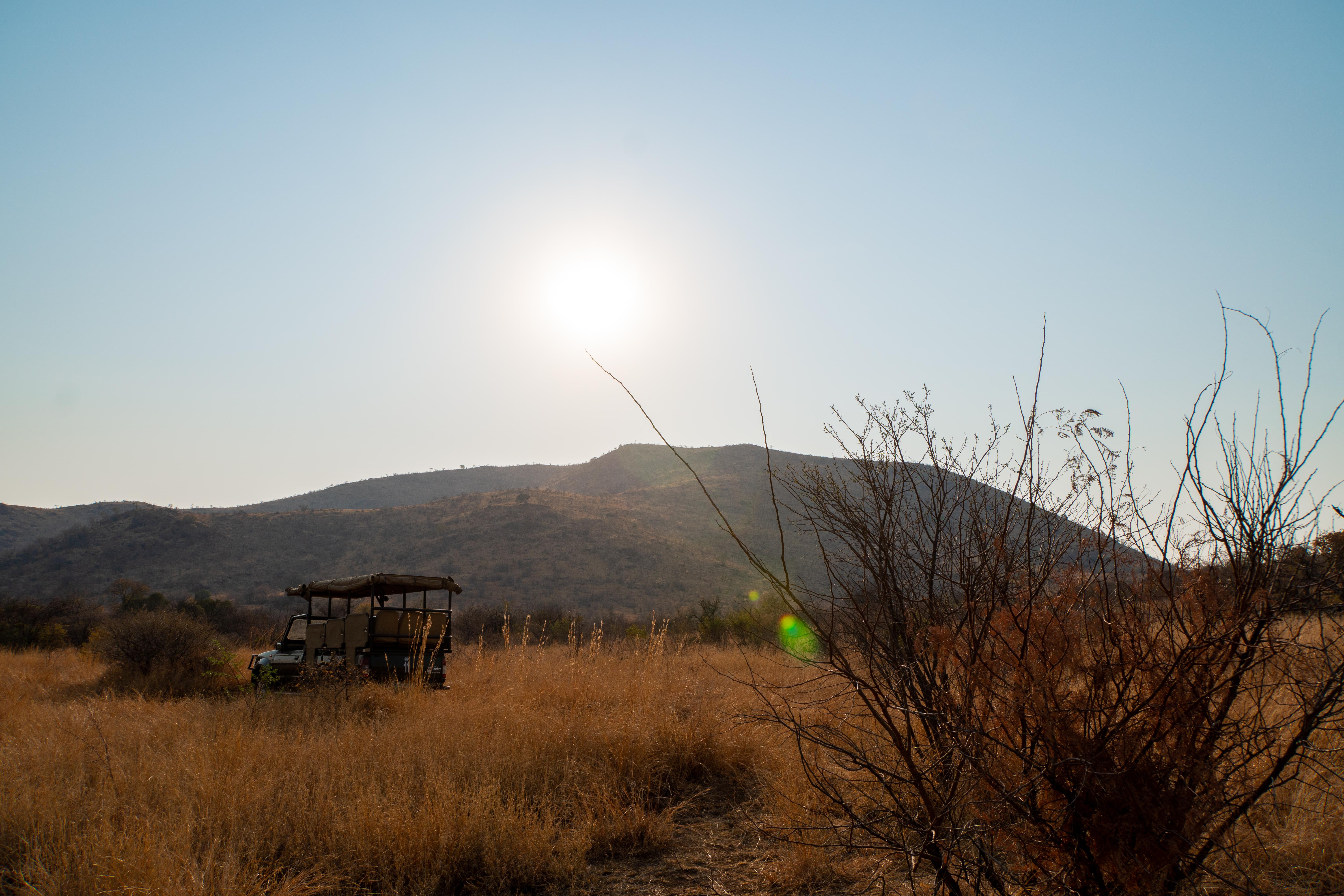 Bakubung Bush Lodge Ledig Dış mekan fotoğraf